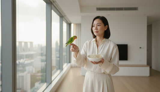 Where to Buy Birds in Singapore: A Guide to Pet Aviaries and Premium Bird's Nest